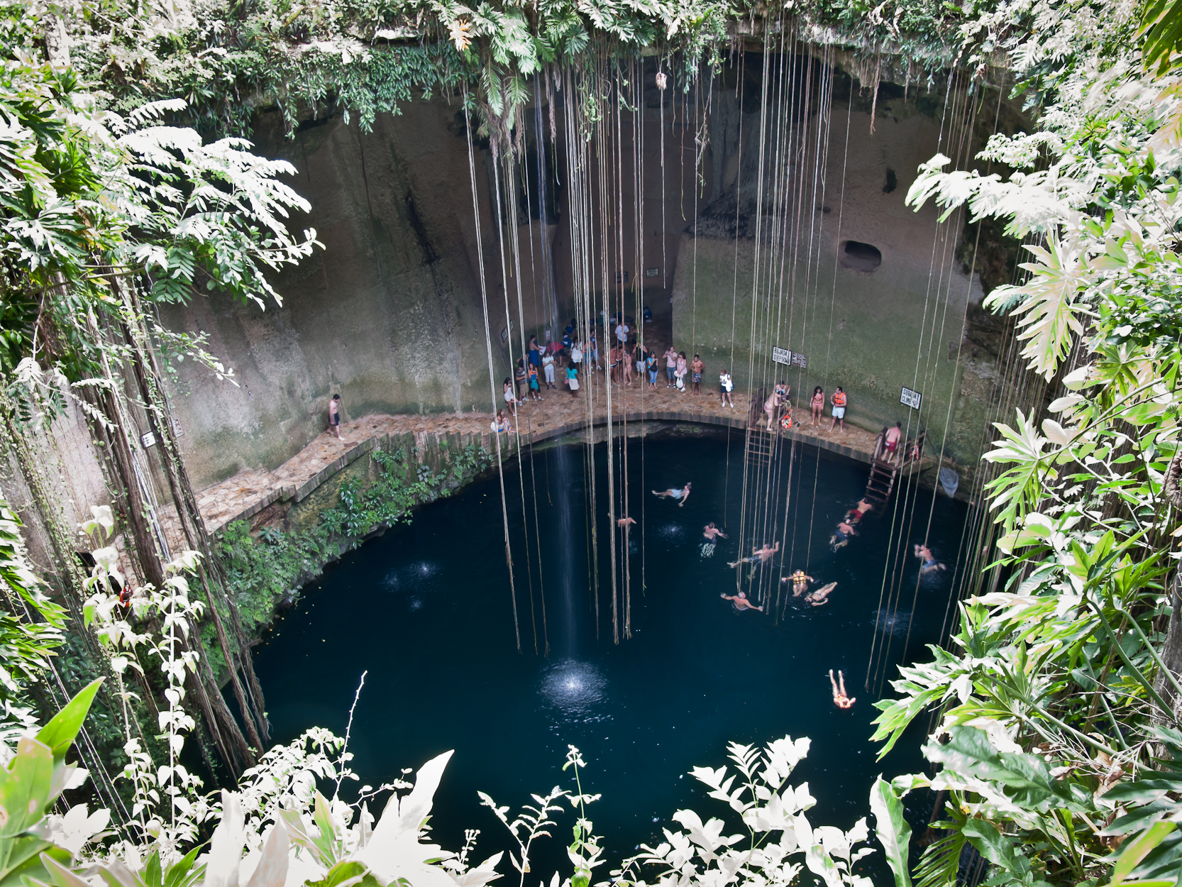 Cenote Quintana Roo Pinpoint