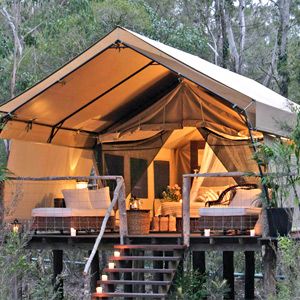 Backyard tent / Treehouse