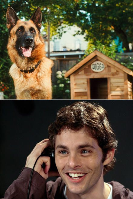James Marsden in Cats and Dogs: The Revenge of Kitty Galore