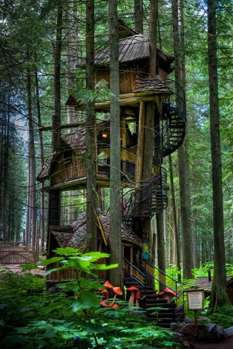 treehouses