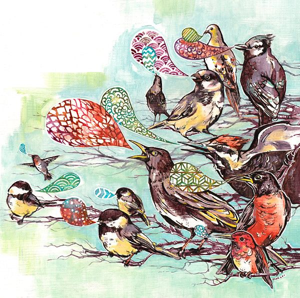 BIRD ILLUSTRATIONS! by Jacqui Oakley, via Behance