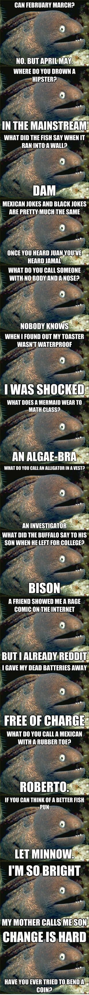 Bad Joke eel :)