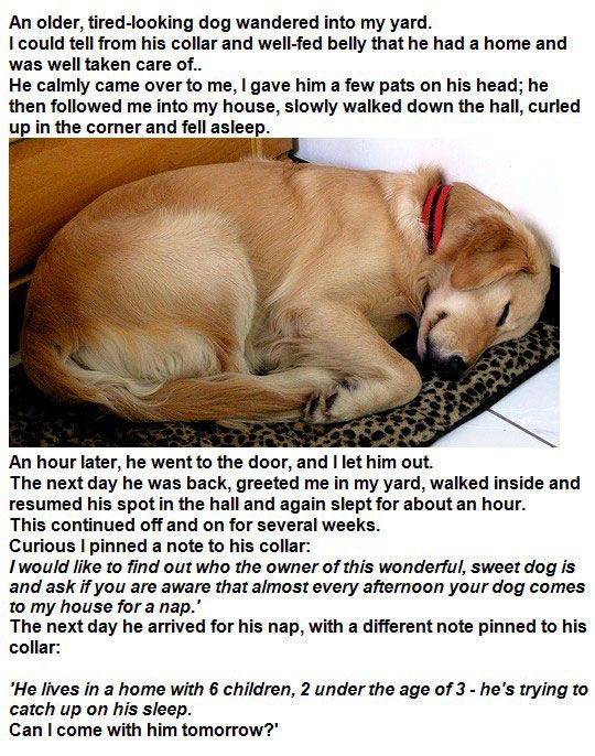Cute story