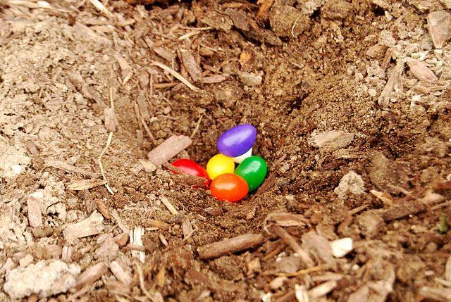 Cutest Easter Tradition 1. Buy some "magic" Jelly Beans 2. Plant them