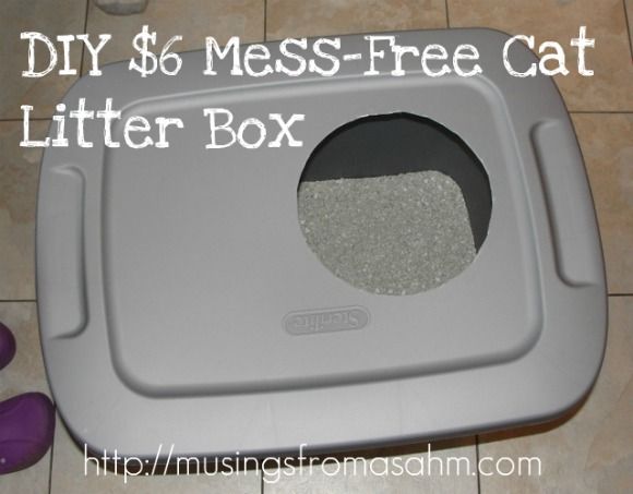 Do It Yourself Cheap Mess-Free Cat Litter Box