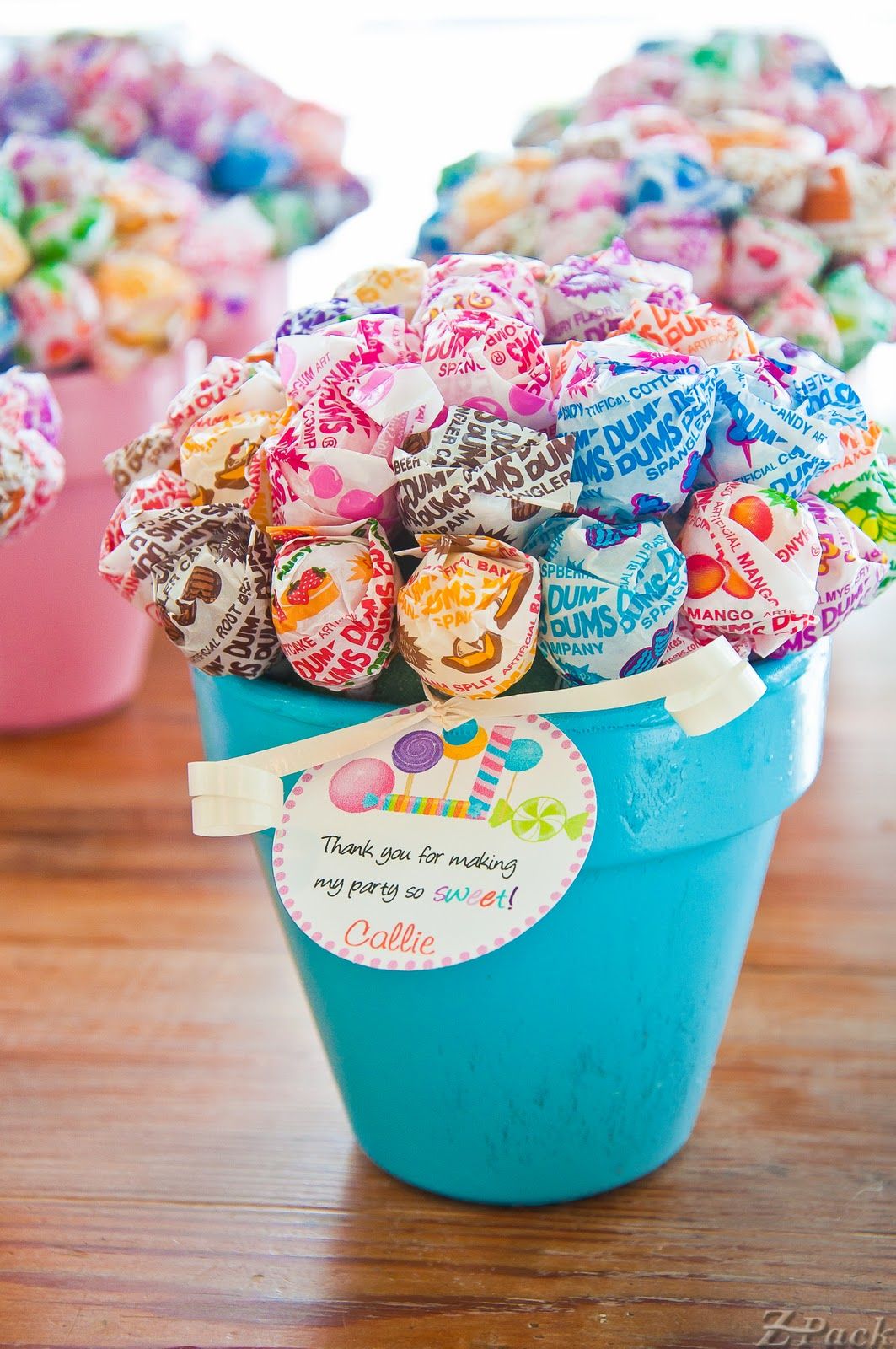 Dum-dum lollipop bouquets nestled in little painted pots–perfect party favors!