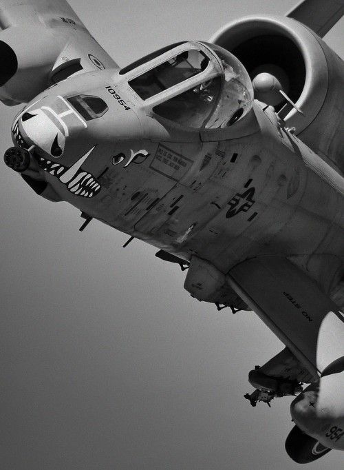 Fairchild Republic A-10 Thunderbolt a.k.a. The Warthog