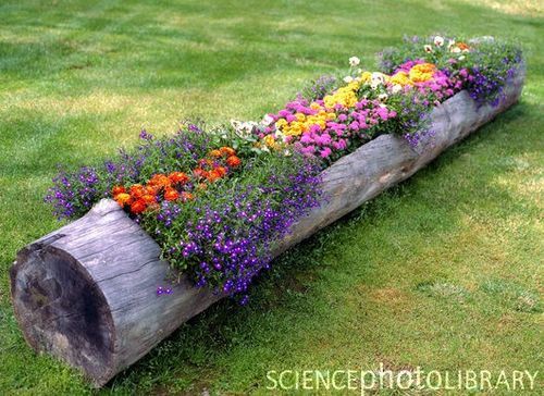 Garden Inspirations / Log Planter – use a hollowed out log or stump as a planter