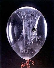 Halloween: how to make spider web balloons. So cool!!