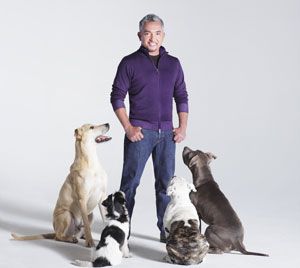 I adore Cesar Milan!