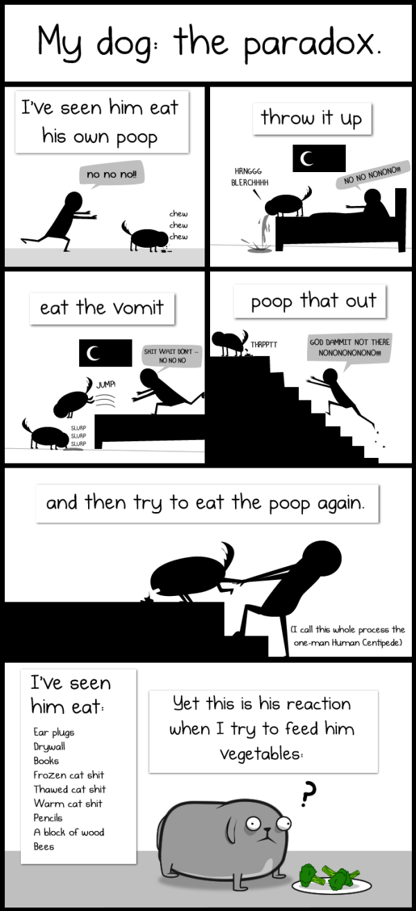 I am DYING!!!:  The Oatmeal's "My Dog: the Paradox"