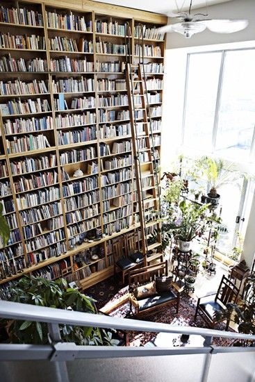 I wanna read in that sunlight!