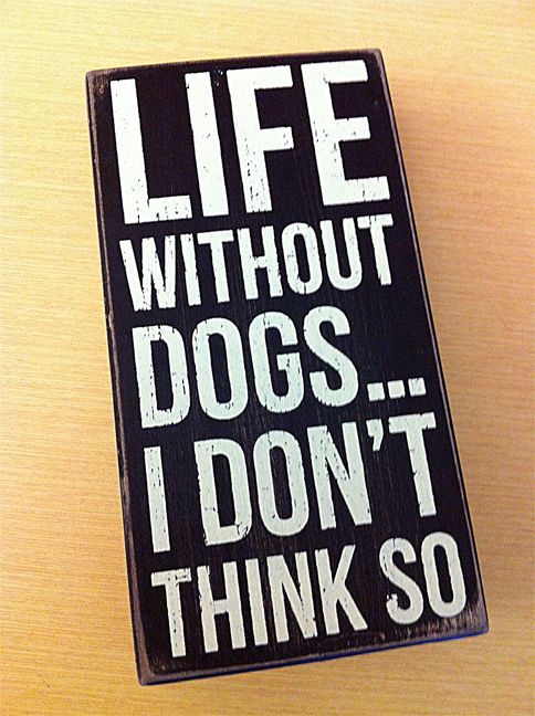 Life Without Dogs… I don't Think So