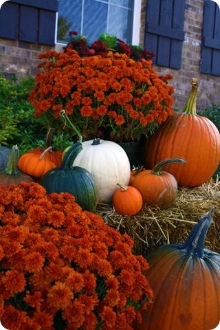 Love decorating for fall! TONS! And I mean TONS of Halloween/Fall Decor ideas fr