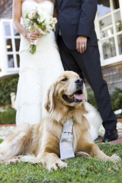 Love the tie on the dog for coming down the isle !!!