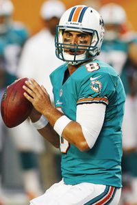 Miami Dolphins quarterback Matt Moore