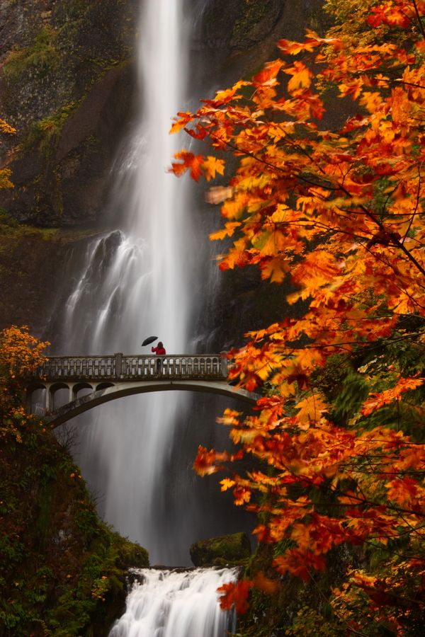 Multnomah Falls, Columbia River Gorge, Oregon.