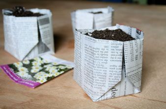 Origami Newspaper Planter: Recycle your newspaper with an easily folded biodegra