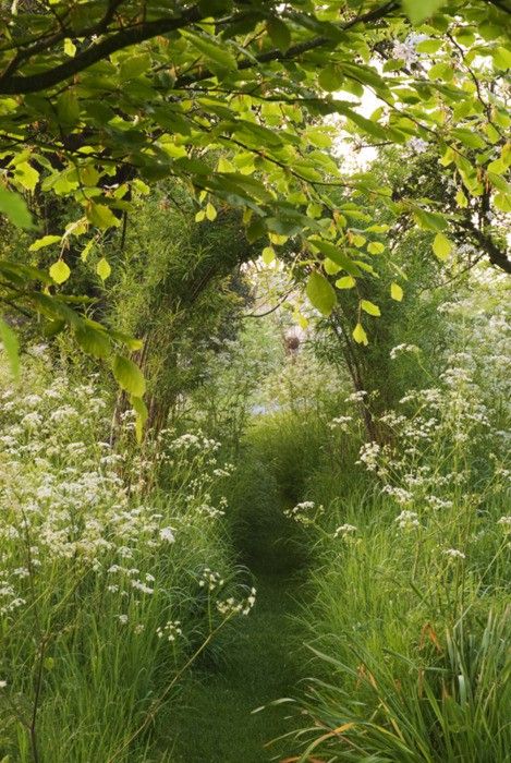 Overgrown walkways