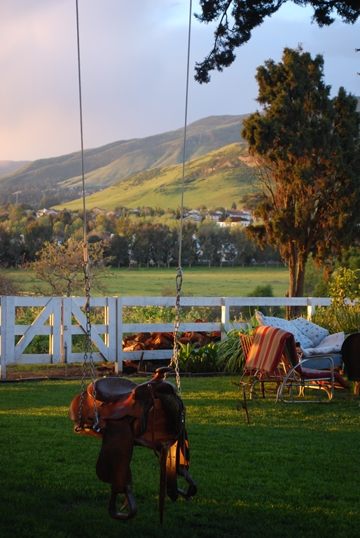 Saddle Swing, just plain AWESOME!