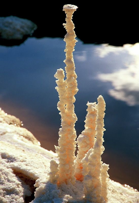 Strange Salt Formations in the Dead Sea