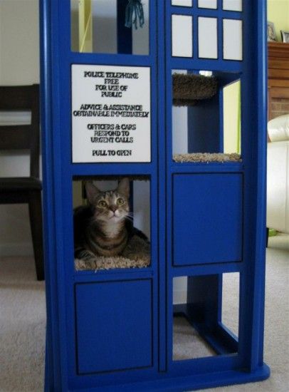 Tardis Cat tree! cats AND doctor who?! can it get much better?