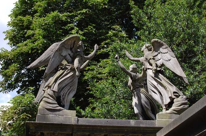 The Dr spotted these sneaky Weeping Angels in Kensal Green cemetery, London. The