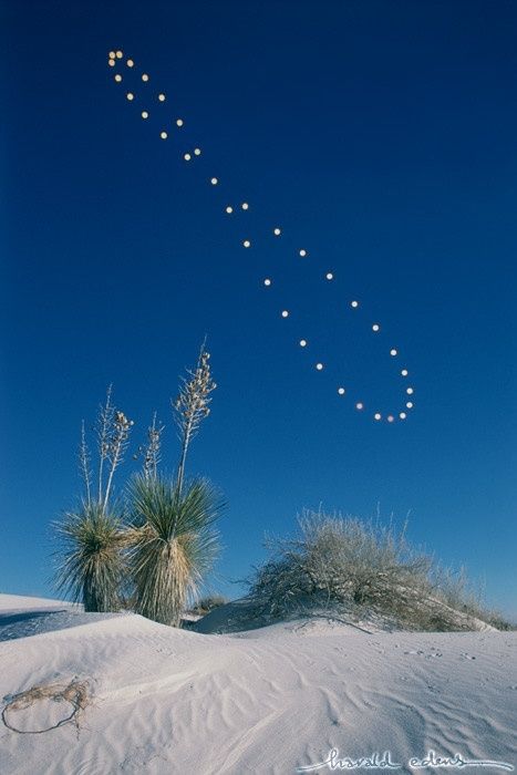 The analemma is the name for the figure-eight path that the sun follows in the s