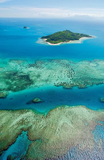 The coral reef near Castaway Island, Fiji