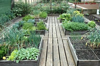 The timber paths between these raised beds make for easy access. You could maybe