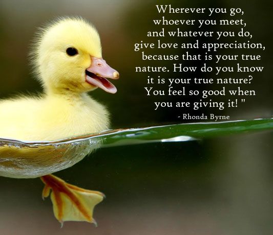 True Nature : Quotes