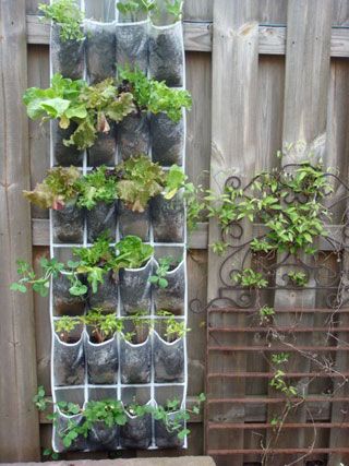 Urban Gardening