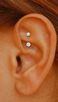 Want!!! Rook.