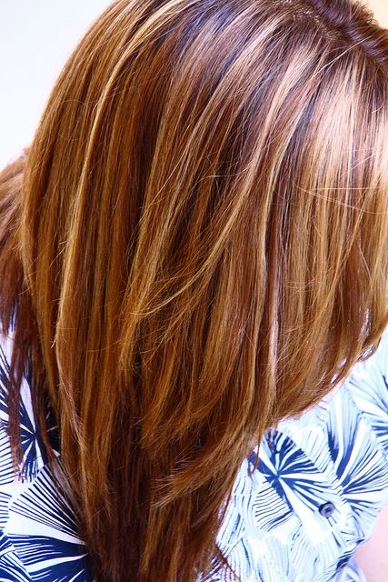 Warm Brown with blonde and honey highlights by Linda Mariano, via Flickr
