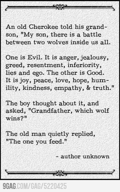 Which do you feed?