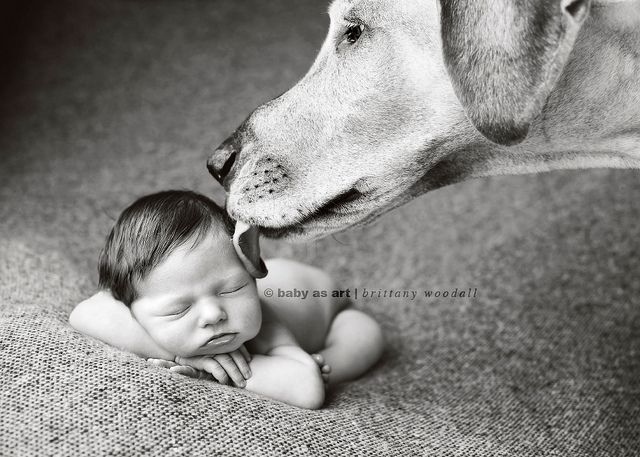 babies and dogs. My two favorite things:)