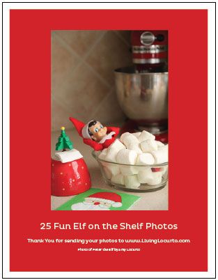 elf on a shelf photos