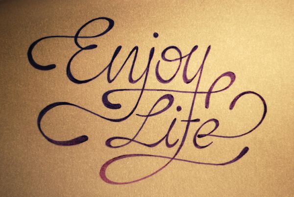 enjoy life script