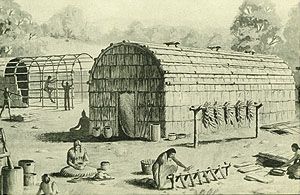 iroquois longhouse illustration