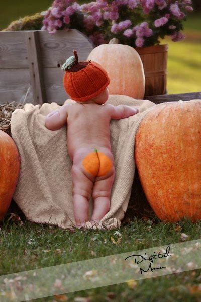 omg, little pumpkin