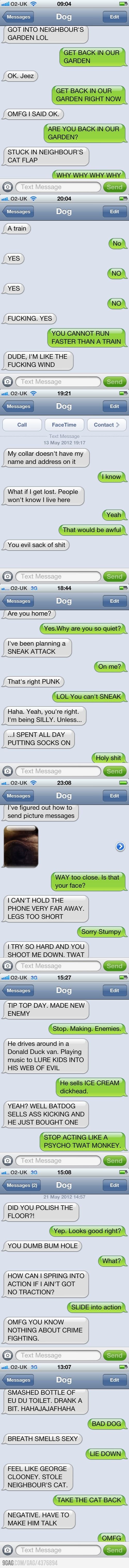 texts from dog