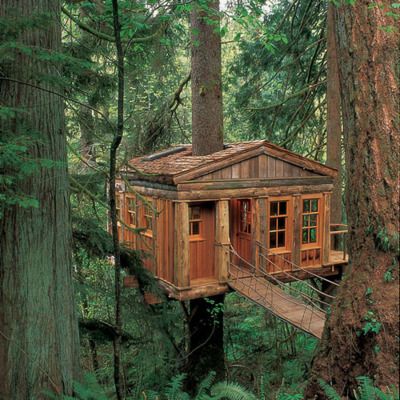 treehouses