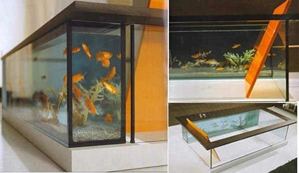 Bathtub fish tank