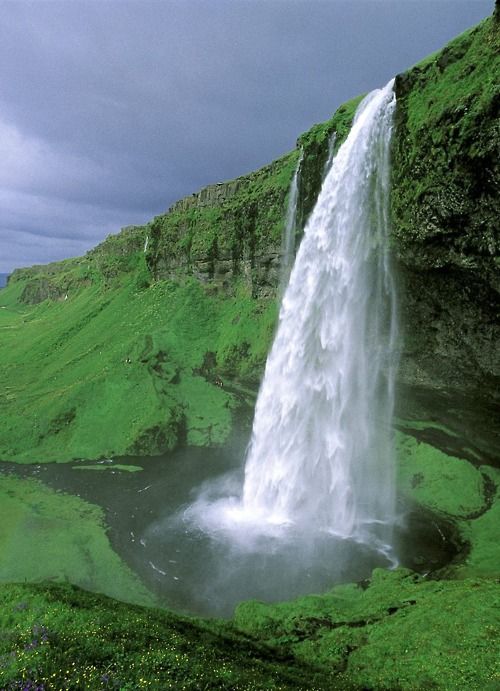 Beautiful waterfall…Mossy surroundings. Iceland