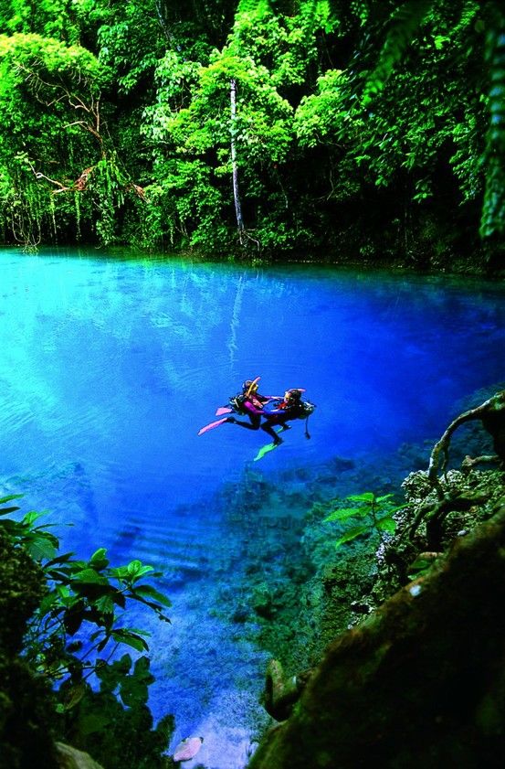 Blue Hole, Espiritu Santo, Vanuatu, Fiji. Bucket list!