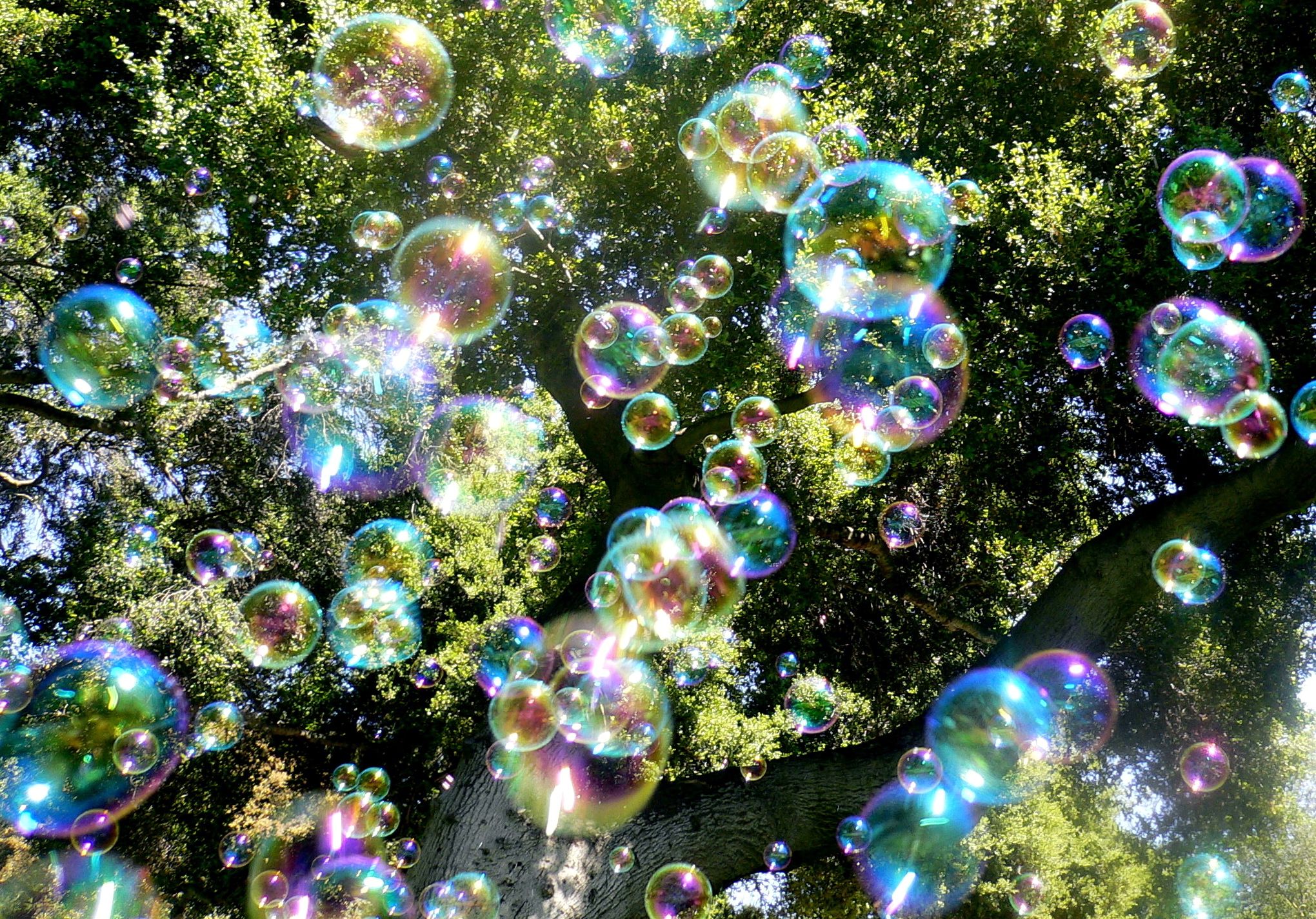 Bubbles Bubbles Bubbles…