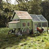 Chicken Coops at Williams Sonoma – Chickens must be cool!