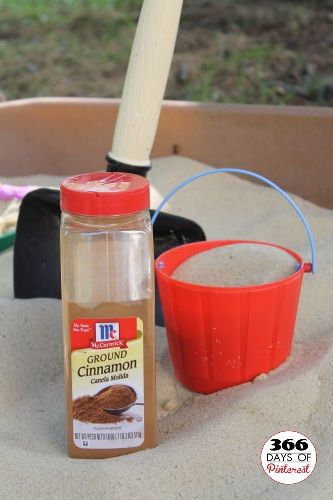 Cinnamon in the Sandbox – It keeps the bugs away!