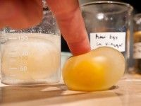 Cool science experiment! Dissolve egg shell off with vinegar and it will become