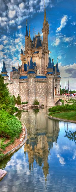 Disney Castle! amazing photo